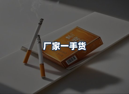 专业团队办公环境